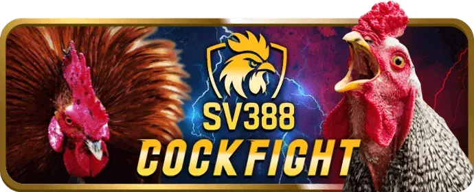 Hình ảnh tâm lý và kỷ luật khi chơi game tại nn8